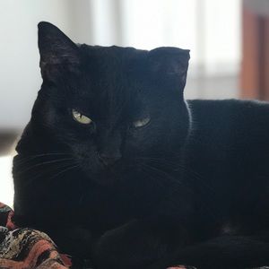 Meet your Posher, Jake